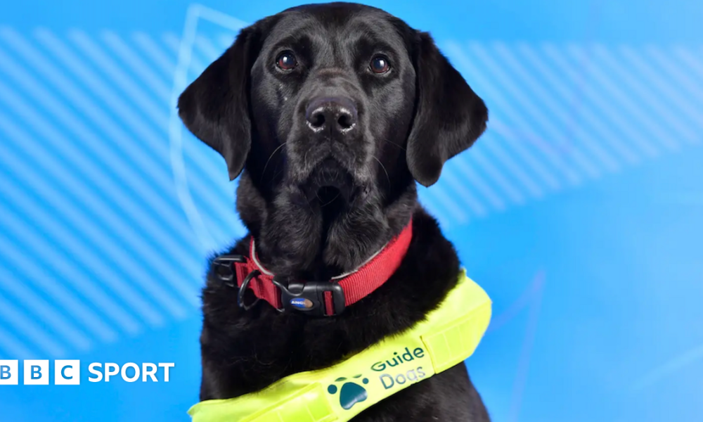 Pickle the dog is facing the camera in her official headshot photo.