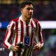 Jose Gimenez of Atletico Madrid takes a pigeon of the pitch during the La Liga match between Atletico de Madrid and Real Sociedad