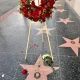 chuck norris fans pay tribute at hollywood walk of fame star after his death