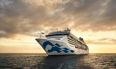 Norovirus outbreak sickens 153 on Star Princess cruise ship, CDC says