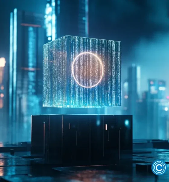 What you need to know