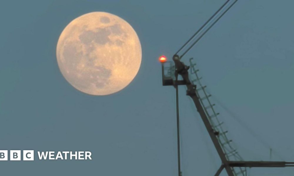 photo of the full moon on Tuesday morning rising next to a crane