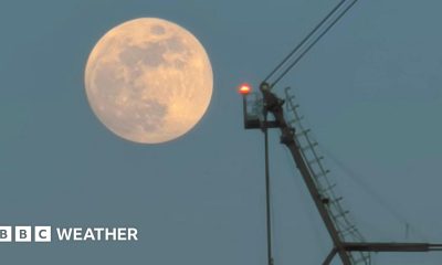 photo of the full moon on Tuesday morning rising next to a crane