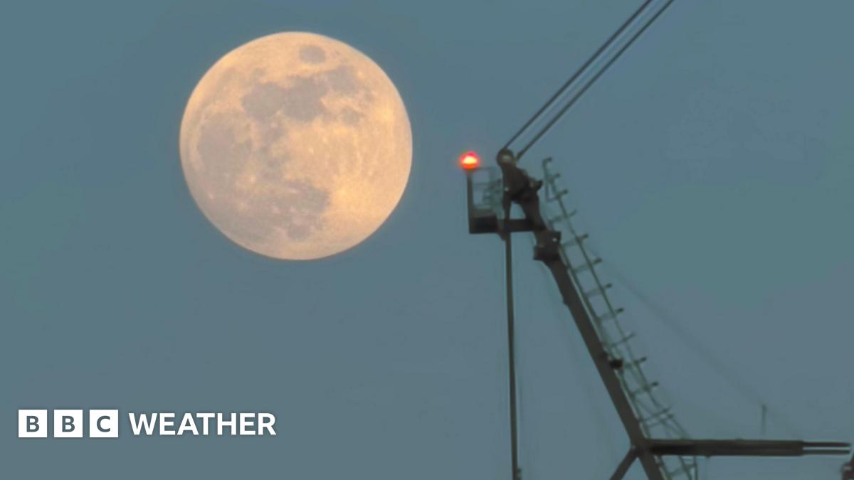 photo of the full moon on Tuesday morning rising next to a crane