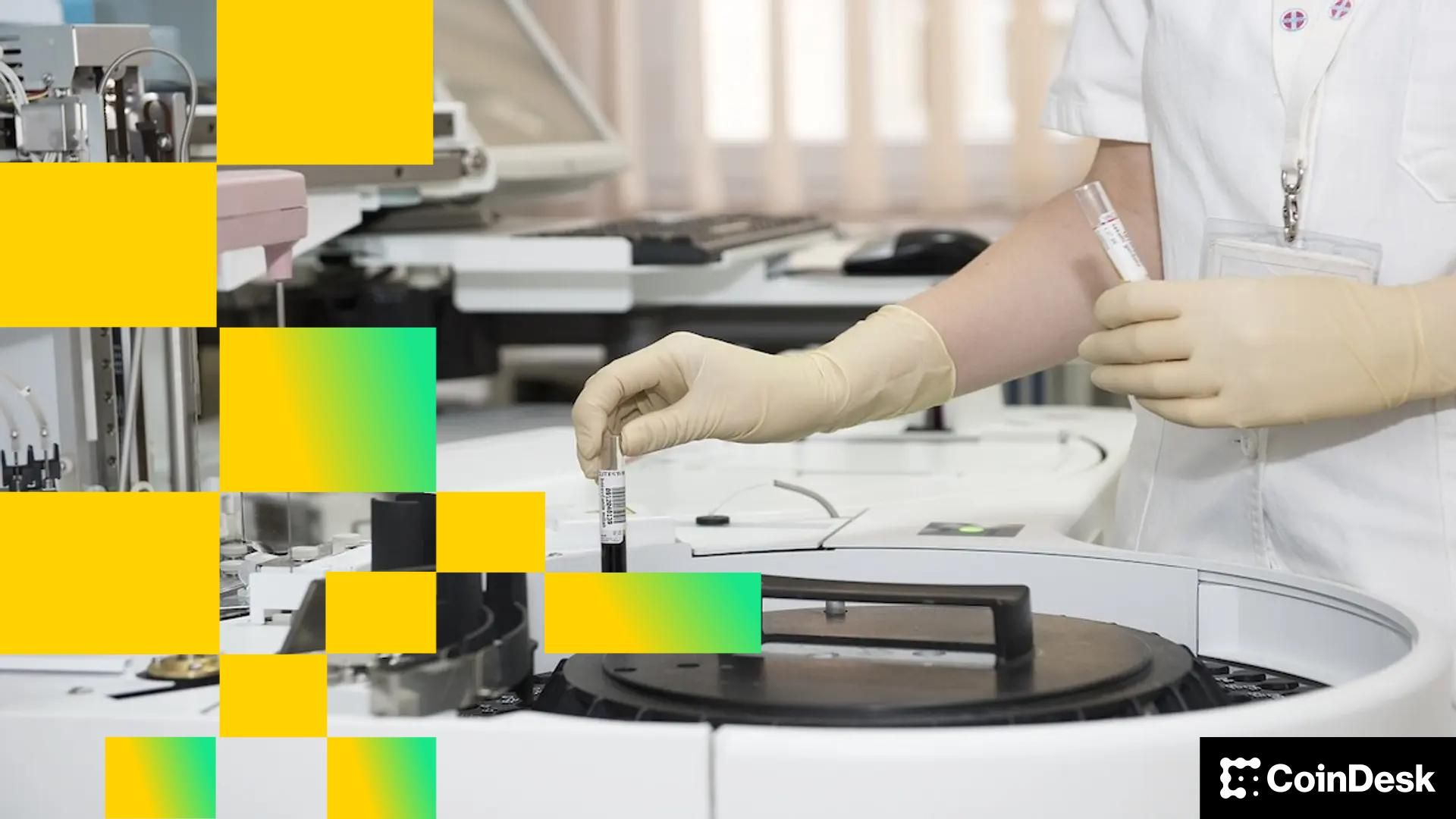 Investment firm Multicoin bets 'Internet Labor Markets' will drive crypto’s next wave of adoption