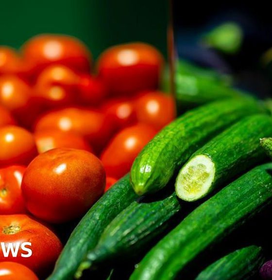 Food prices likely to rise due to Iran war, farmers' union says