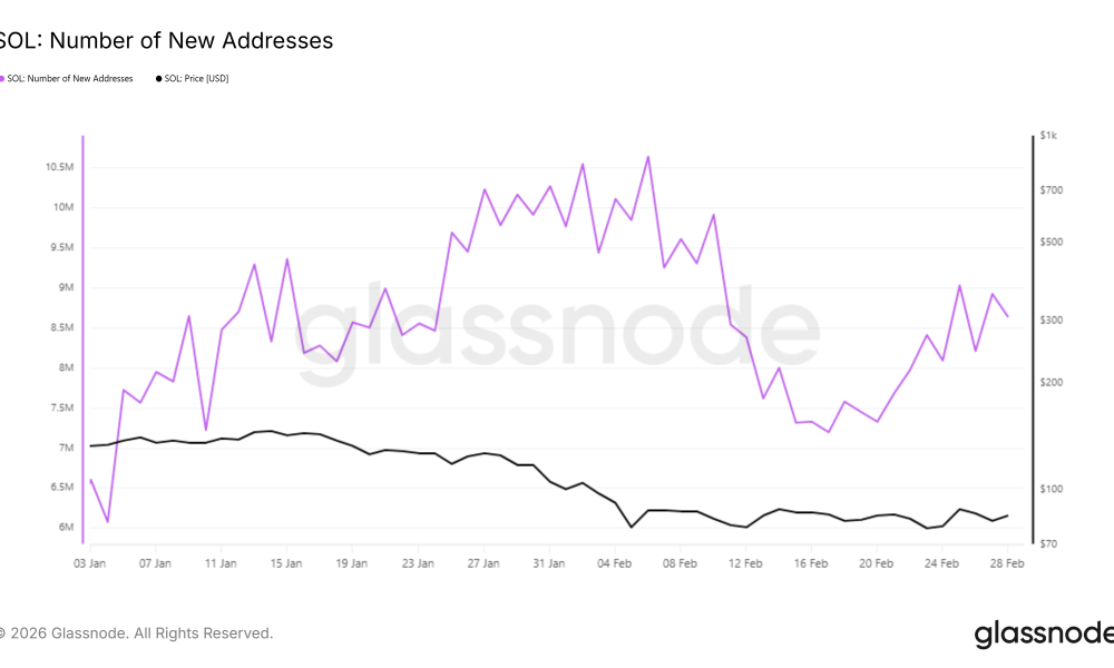 Solana New Addresses.