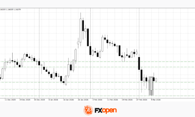 Euro Recovers Early-Week Losses Ahead of Key Inflation Data