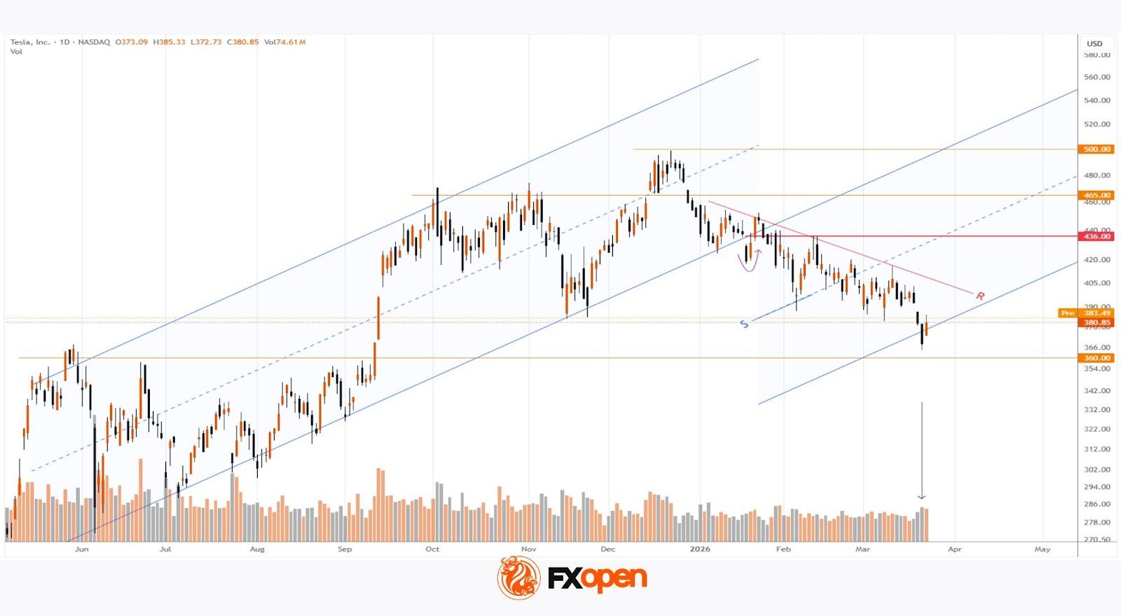 Tesla (TSLA) Shares Surge Following Musk’s Announcements