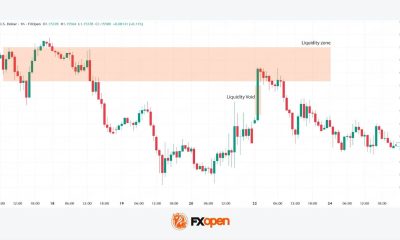 Liquidity Zones and Liquidity Voids: Analysing Price Dynamics
