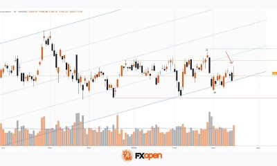 Nvidia (NVDA) Shares Set a March High