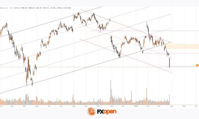 Meta Platforms (META) Shares Fall by Around 8%