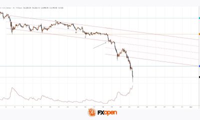 Gold Price Falls to 2026 Low
