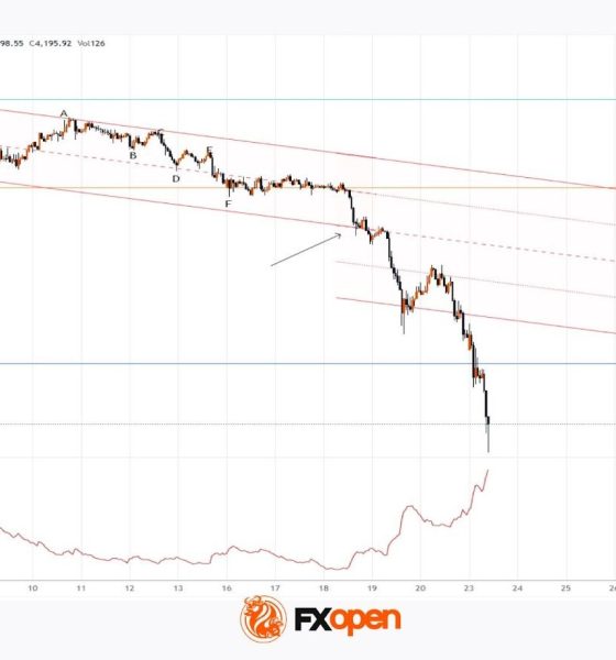 Gold Price Falls to 2026 Low