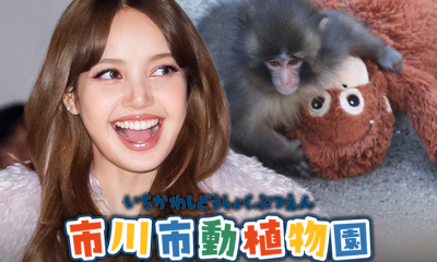 lisa blackpink punch main getty