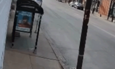 Delivery robots crash into bus shelters in under a week with one caught on video