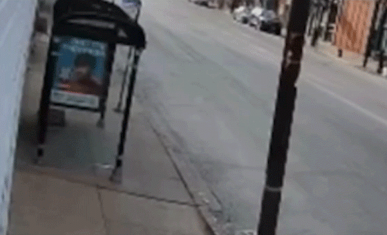 Delivery robots crash into bus shelters in under a week with one caught on video