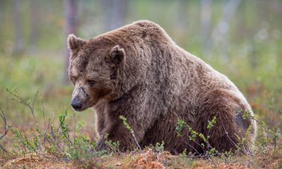 Crypto firms are ditching hundreds of workers to bet the house on AI