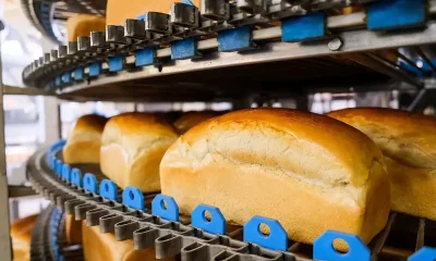 Capital investment holding steady despite record-low industry outlook