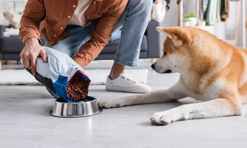 Starting with sustainability: Pet food processing