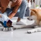 Starting with sustainability: Pet food processing