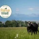 Where Food Comes From launches RaiseWell Certified for Beef