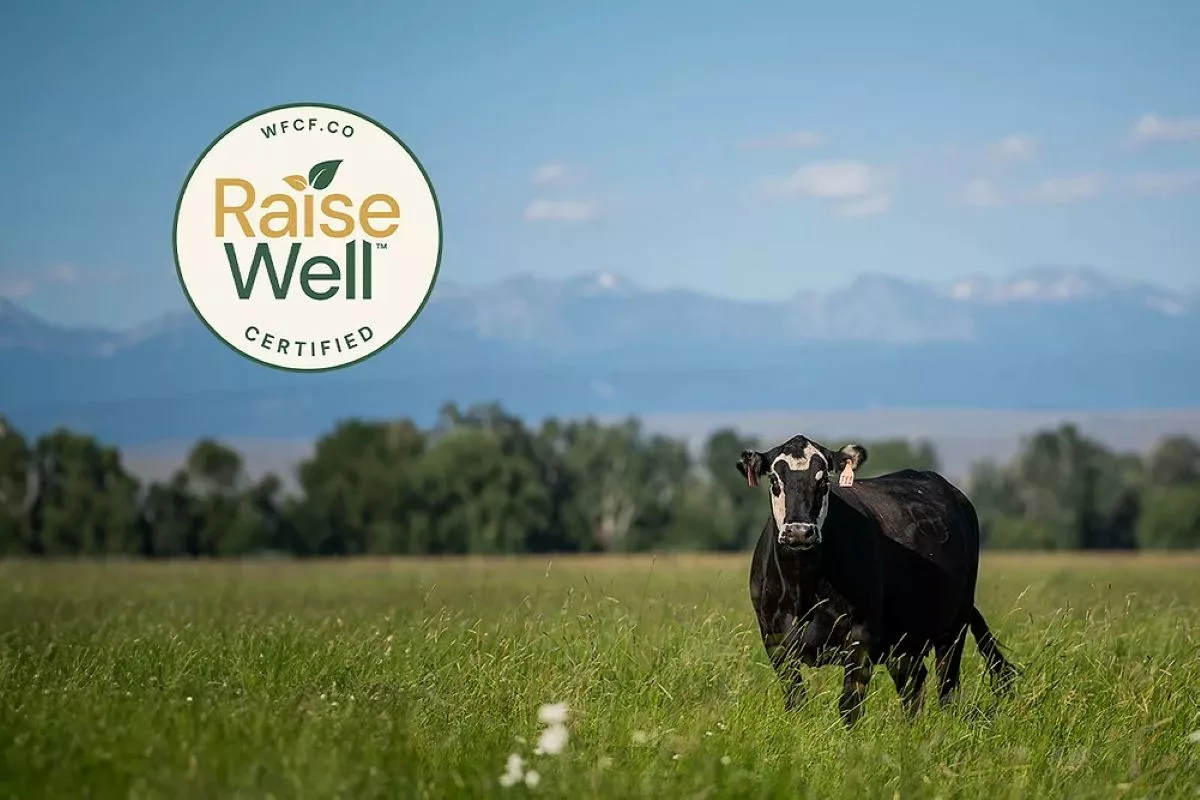 Where Food Comes From launches RaiseWell Certified for Beef