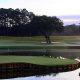 The famous #17, TPC Sawgrass in Ponte Vedra, Florida TPC