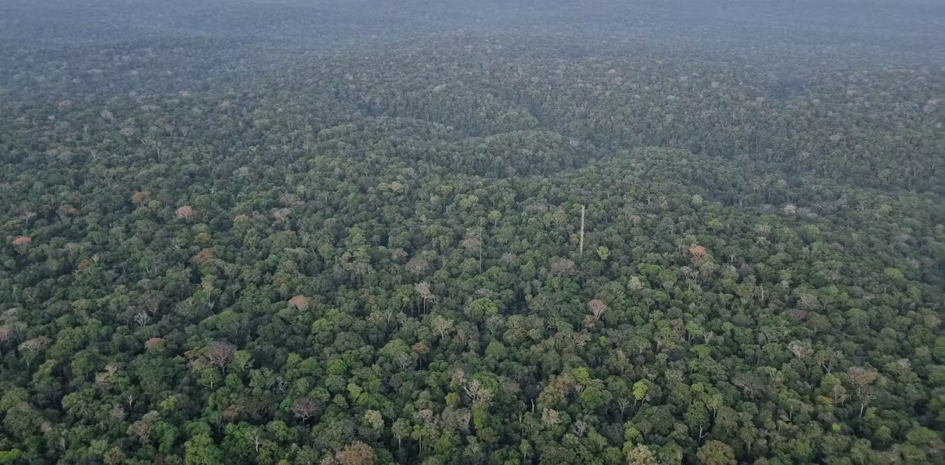 Chopping down areas of tropical rainforest is causing rising temperatures linked to thousands of deaths
