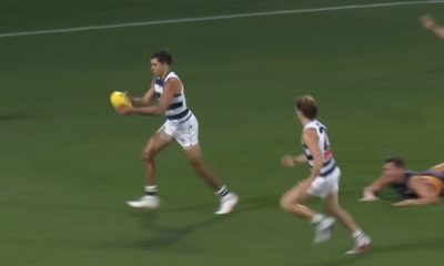 Geelong Cats vs. Adelaide Crows: Geelong Edges Adelaide by 8