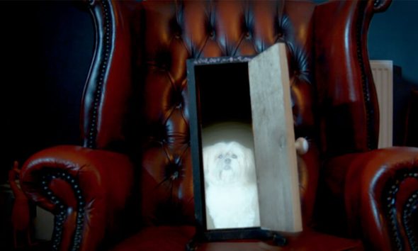 Nearly Perfect Sci-Fi Thriller Is A Doorway Into Strange New Worlds