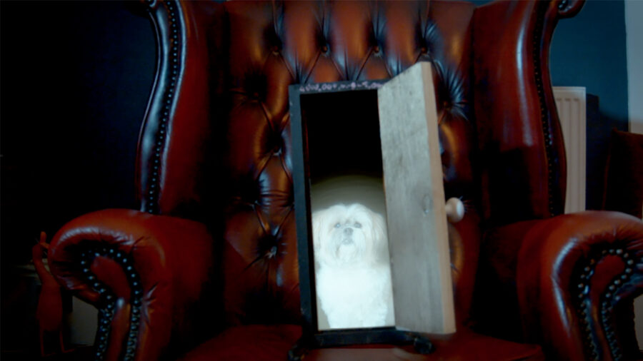 Nearly Perfect Sci-Fi Thriller Is A Doorway Into Strange New Worlds