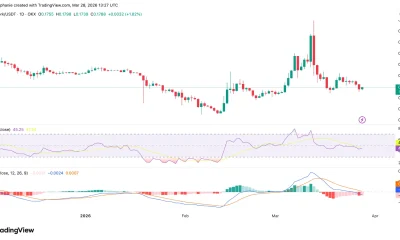 PI price chart | Source: TradingView