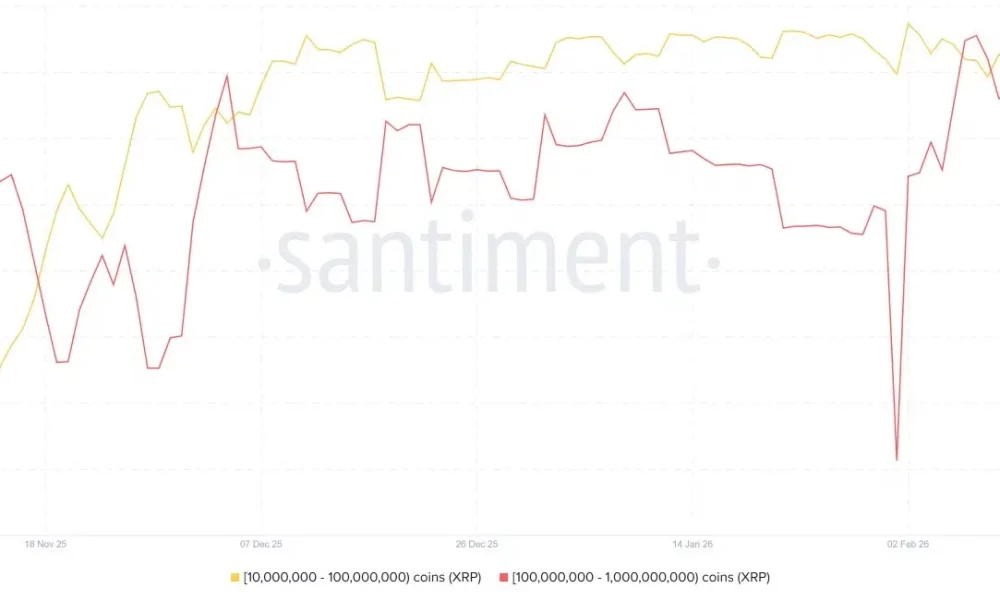 XRP news: Major whales scoop up 4.18B XRP since the 10/10 market crash - 1