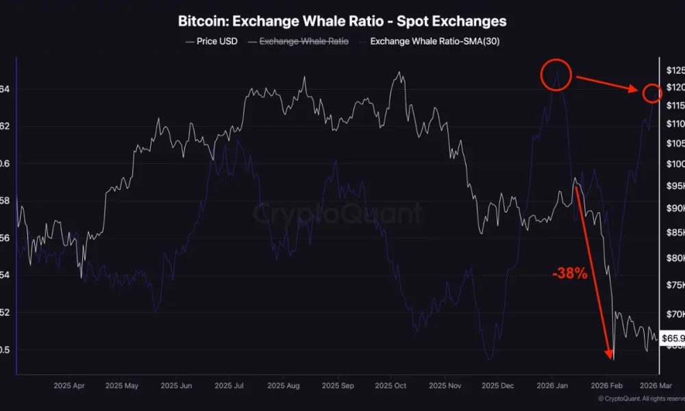 Bitcoin’s "whale ratio" spikes as US-Iran conflict escalates: Here's what it means for price - 1