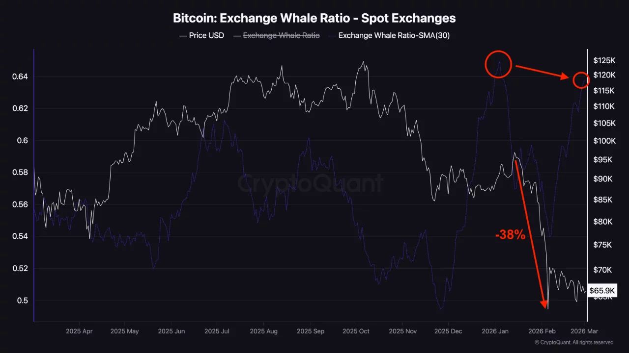 Bitcoin’s "whale ratio" spikes as US-Iran conflict escalates: Here's what it means for price - 1