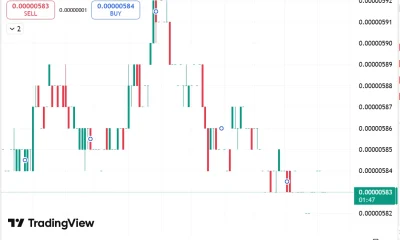 Shiba Inu, Bonk Coin, Remittix: A look at crypto assets with real utility - 2
