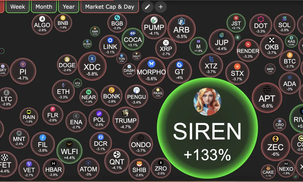 Crypto market overview | Source: Crypto Bubbles