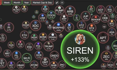 Crypto market overview | Source: Crypto Bubbles
