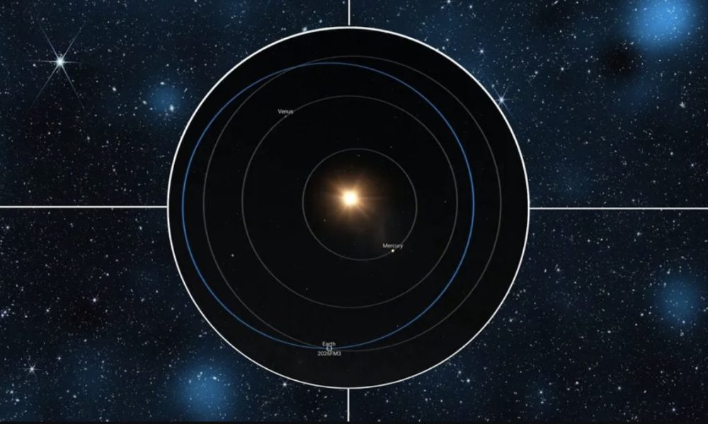 Elon Musk Says SpaceX-xAI Merger Will Form ' Most Ambitious'