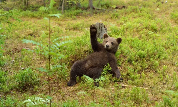 Dip-Buyers Ride Longest Negative Signal Since 2022 To Next Tactical Bottom