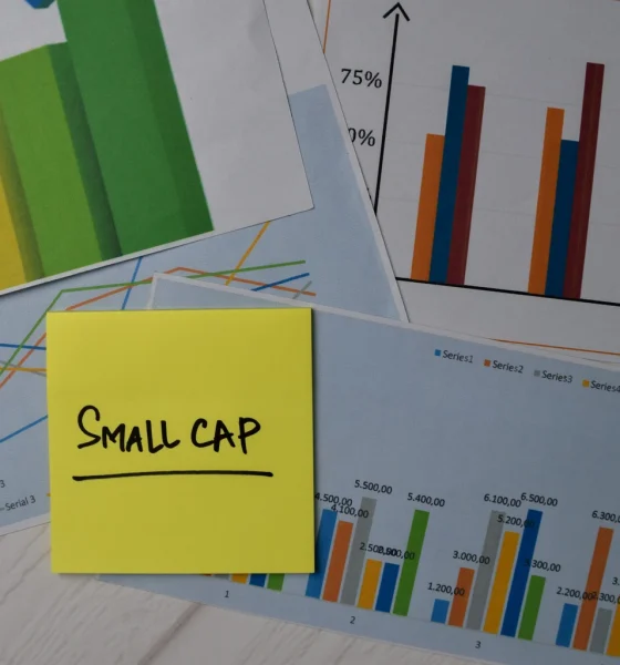 Don’t Confuse Small-Cap Benchmark With Small-Cap Strategy