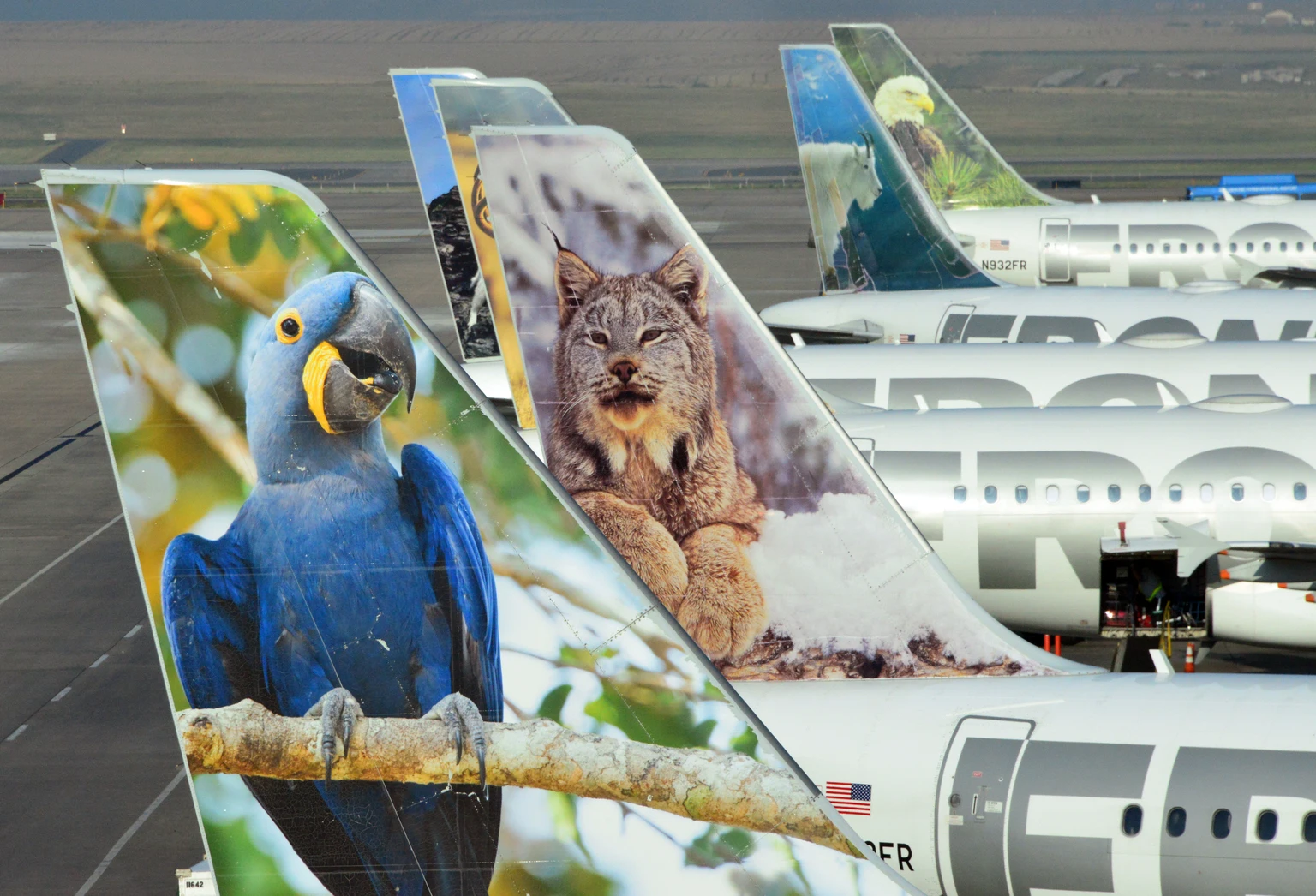 Frontier Airlines Stock Ebbs With Industry Ups And Downs (NASDAQ:ULCC)