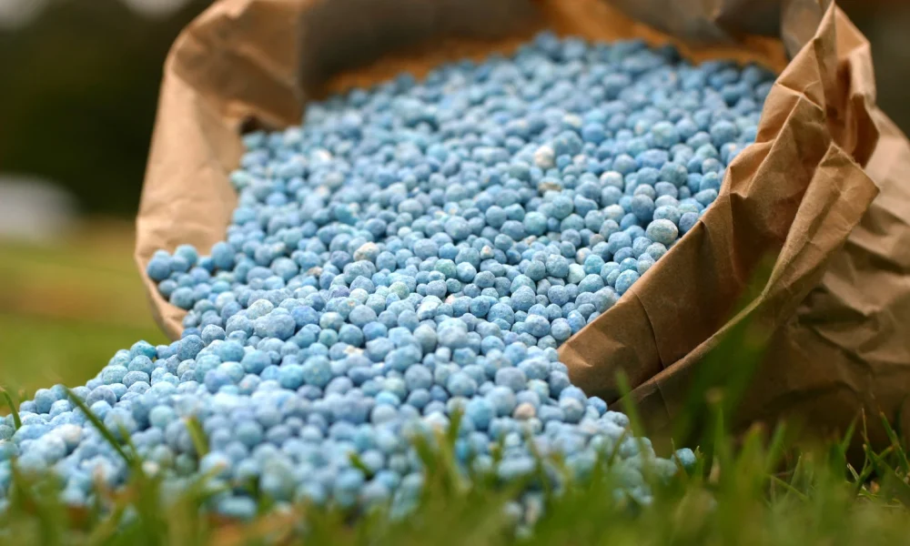 Fertilizer Prices Surge Ahead Of A Critical Planting Season
