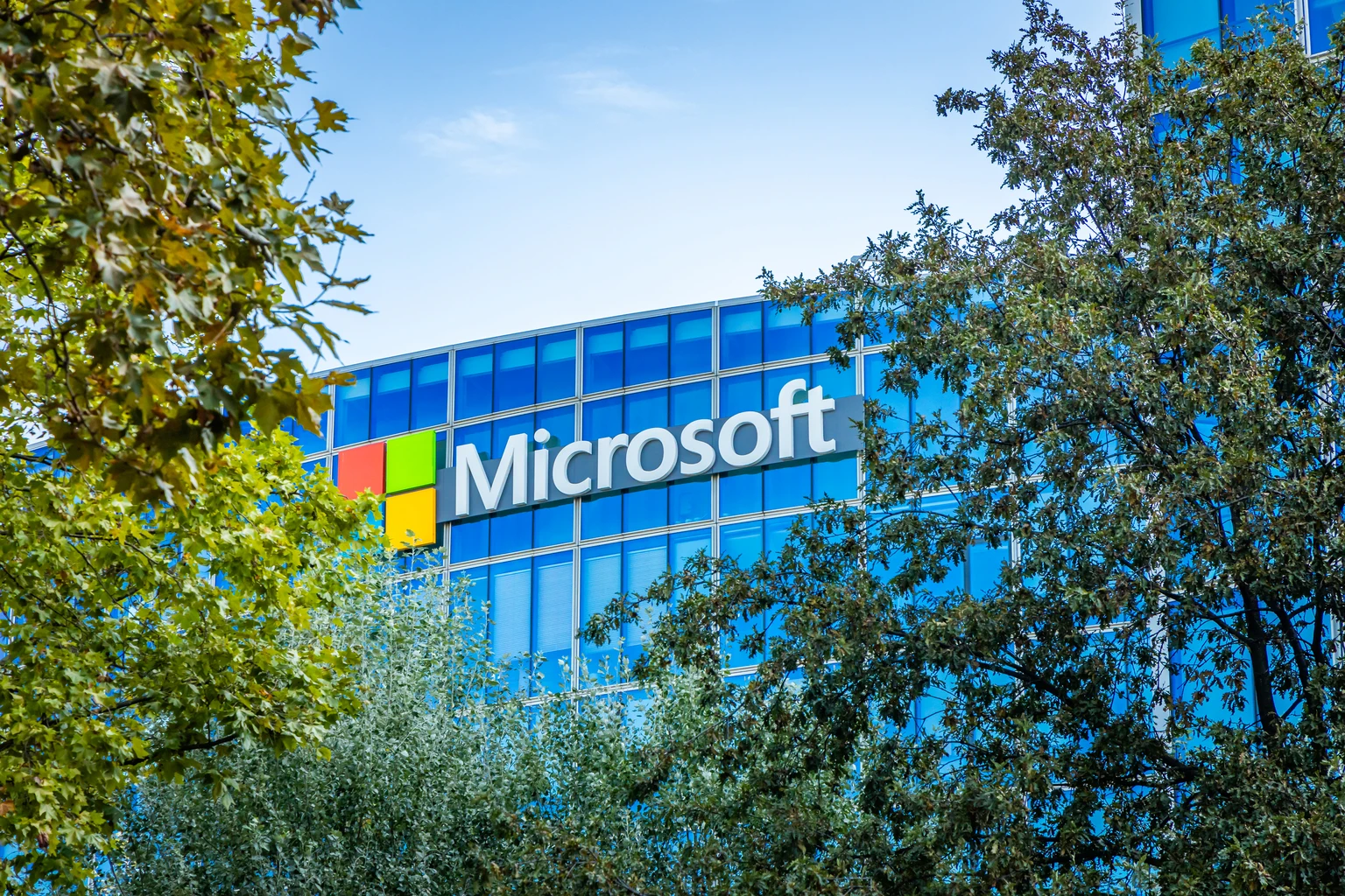 Microsoft: Don't Jump To Conclusions From The Recent Share Price Rout (NASDAQ:MSFT)