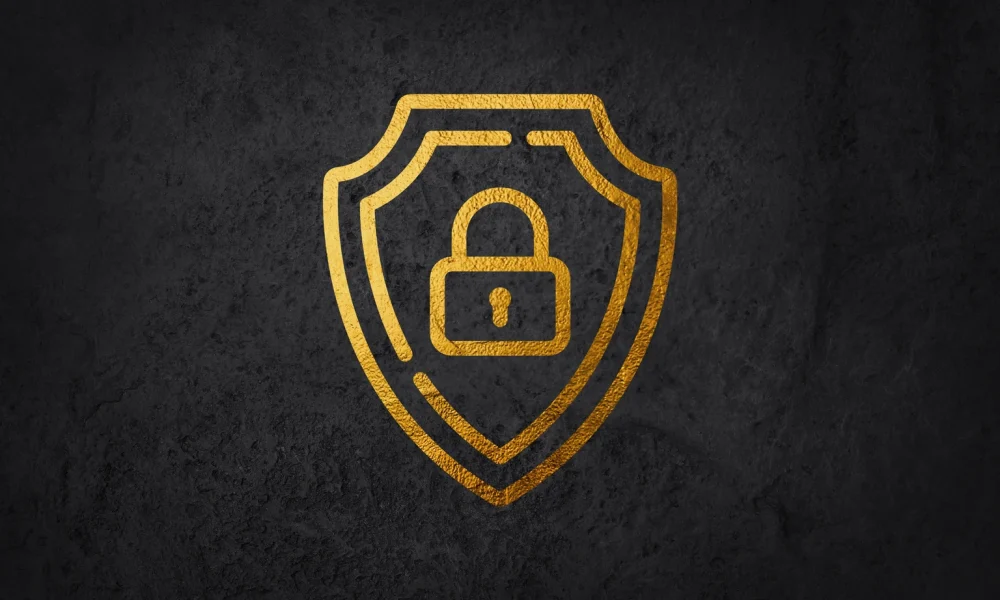 Rubrik Outstanding Execution And Still Underappreciated