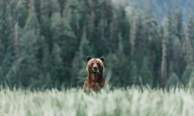 A Strong Jobs Report May Be Bad News For The Market