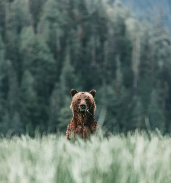 A Strong Jobs Report May Be Bad News For The Market