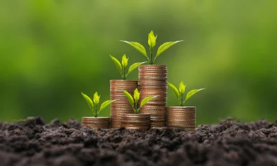 My 6-8% Yielding Money Machine Choices For Early Retirement