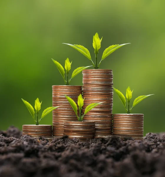 My 6-8% Yielding Money Machine Choices For Early Retirement